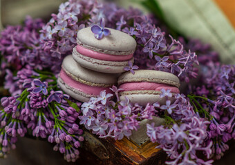 Obraz na płótnie Canvas Macaroni cakes lying in lilac flowers on a wooden background