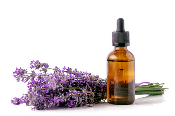 Lavender essential oil in a bottle and a bouquet of blooming lavender on a white isolated background. - obrazy, fototapety, plakaty