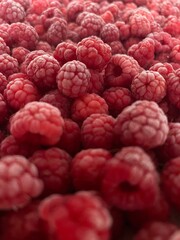 close up of raspberry