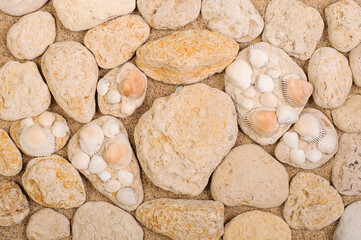 Fototapeta na wymiar Background of seashell stones on the sand
