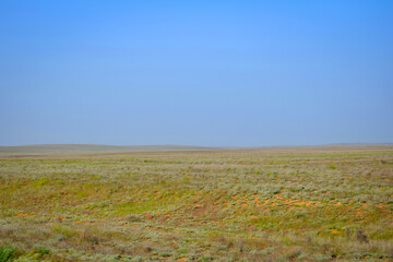 Endless landscape of a southern steppe