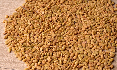 Organic fenugreek seeds, ingredient in Indian cuisine.