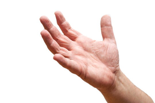 Open Hand Waiting To Receive Object From Above. White Background