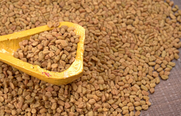 Organic fenugreek seeds, ingredient in Indian cuisine.