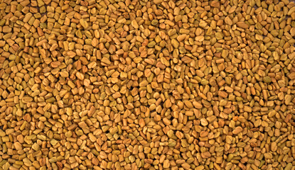 Organic fenugreek seeds, ingredient in Indian cuisine.