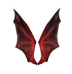 bat wings isolated on white.