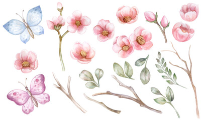 Spring elements set. Pink flowers, leaves, branches isolated on white background.. Apple tree, cherry, sakura, butterflies. For frames, decorations, invitations, wedding.