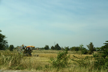 Fototapeta premium Bergkette und Blumenwiese in der Provinz Saraburi, Thailand
