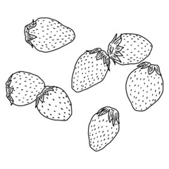 シンプル手書きのいちご
いちごの集まり