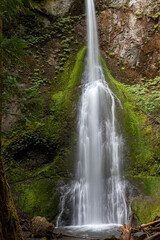 Obraz premium Marymere Falls Olympic National Park Washington State