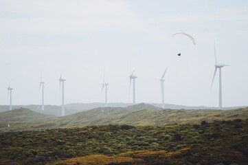 Albany's Wind Farm