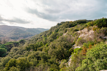 Naklejka premium Paysage du Gard