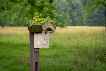 Birdhouse with Flowers on Roof