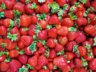Strawberries background. Organic strawberry. Food background.