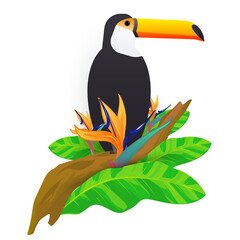 The toucan bird on the branch of tropical tree isolated on white background. Vector illustration of rainforest animals