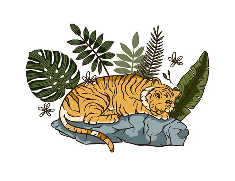Jungle cartoon tropical bengal tiger animal printable art. Palm exotic wildlife cat illustration. Chinese new year 2022.