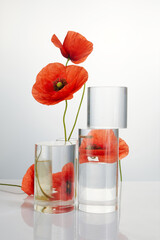 Product crystal minimal scene with glass geometric display platform and poppies flowers. Stand to...