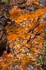 Eau orange