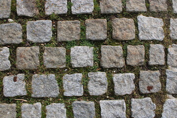 Cobblestone Texture with Grass