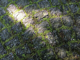 A stone walkway or cobblestone paved footpath in Feldli Cemetery Park in Saint Gallen (Ein Steinwürfel oder ein gepflasterter Fussweg im Friedhofspark Feldli in Sankt Gallen), St. Gallen - Switzerland