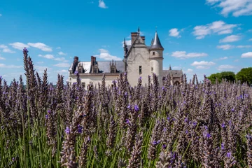 Tuinposter Château Royal d'Amboise dans les lavandes © Maxime