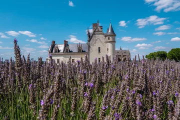 Fotobehang Château Royal d'Amboise dans les lavandes © Maxime