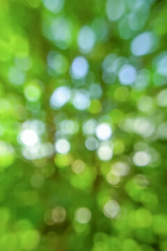 Abstract green bokeh background. Blurred image of natural background with plants and bokeh light. Vertical