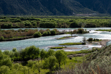 Yarlung Zangbo River Canyon and Bushes, Nyingchi, Tibet, China