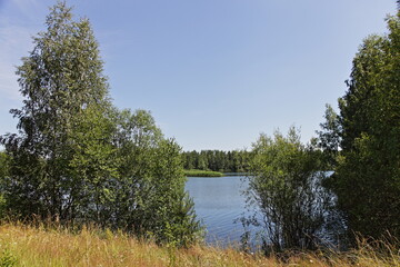 Beautiful view through the trees to the countryside lake with green forest on far shore at Sunny summer day, ecological East European natural landscape