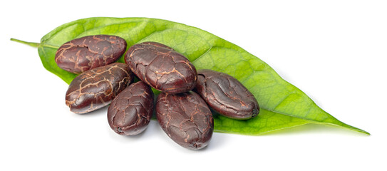 dried cocoa beans on the fresh cocoa leaf, isolated on white background, top view