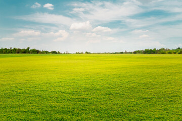 green field and blue sky