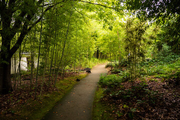 Naklejka premium Jardin Japonais