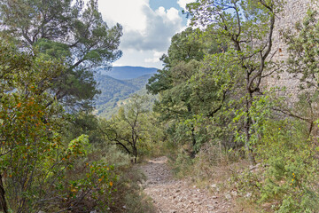 vue du château en ruines du village de Séguret