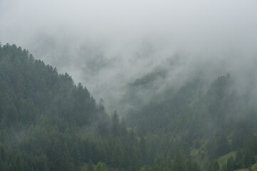 Montagnes embrumées