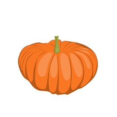 Orange pumpkins isolated on a white background.