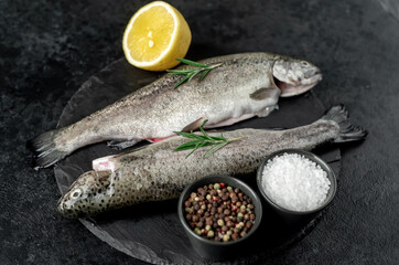 raw fish trout with spices ready for cooking, on a stone background
