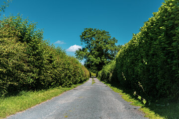 English country lane