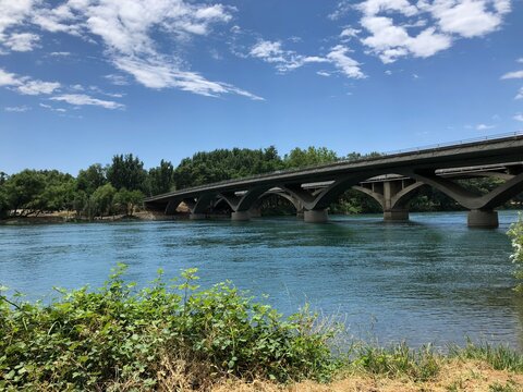 Bridge