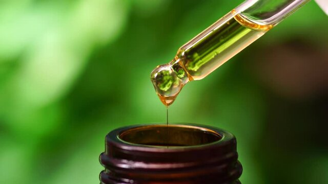 CBD Hemp oil, Hand holding droplet of Cannabis oil against black background. Alternative Medicine. droplet dosing a biological and ecological hemp plant herbal pharmaceutical cbd oil.