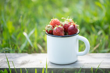 fresh strawberry in a cup. Summer vibes. Home gardening. Outdoor picnic