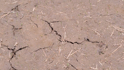 Dehydrated fields cause the ground to crack.