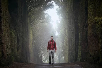 Foto auf Acrylglas Kanarische Inseln Der Mensch geht entlang der Straße zwischen Felsen inmitten eines mysteriösen Nebelwaldes. Teneriffa, Kanarische Inseln, Spanien.