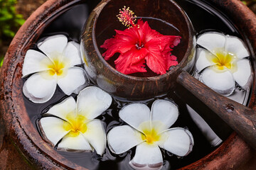 Wooden scoop and flowers