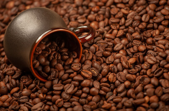 image of mug coffee seed