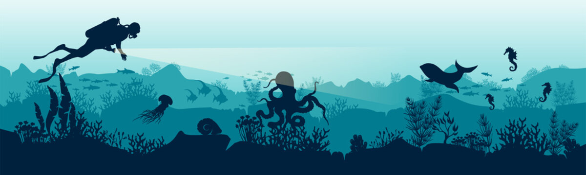 Silhouette of a scuba diver in the underwater world. The diver is watching the fish. Stock vector illustration. EPS 10. Panoramic view of the underwater world. Illustration for underwater tourism.