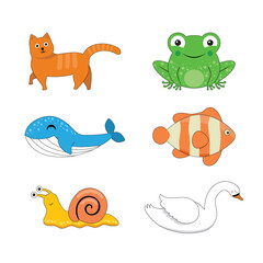 cat, frog, whale, fish, snail and swan