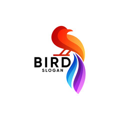 bird logo colorful simple and colorful is perfect for your business symbol because it is very strong and easy to remember