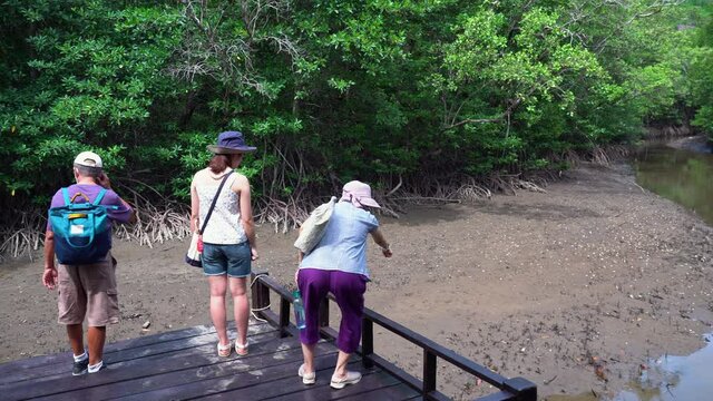 asian family looking at small crab in mangrove forest during vacation
