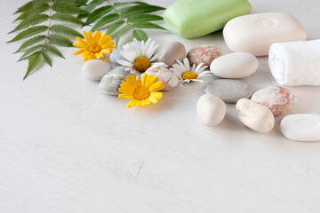 Fototapeta na wymiar Flowers are yellow calendula officinalis and white chamomile. Light background for spa treatments, stone therapy, herbal sauna.