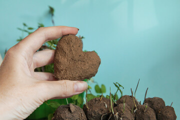 Make Seed Balls. Hearts of Green. Woman is holding fresh produced Seed Balls or Seed Bombs on blue...